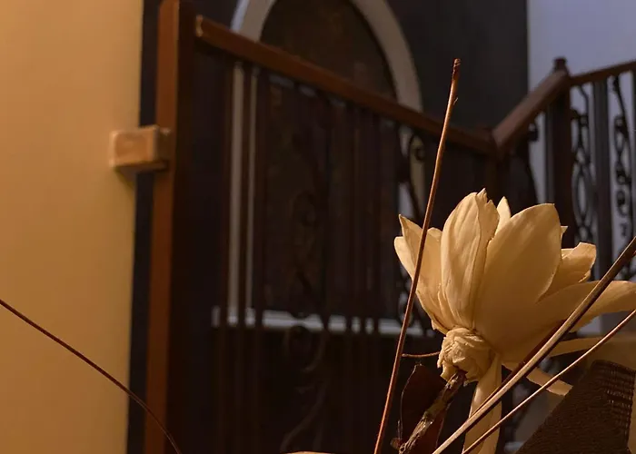 Teos 4* Πριμόρσκο